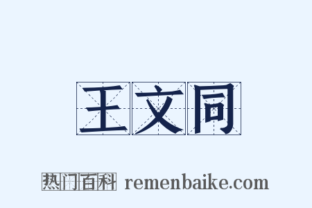王文同是什么意思的图片